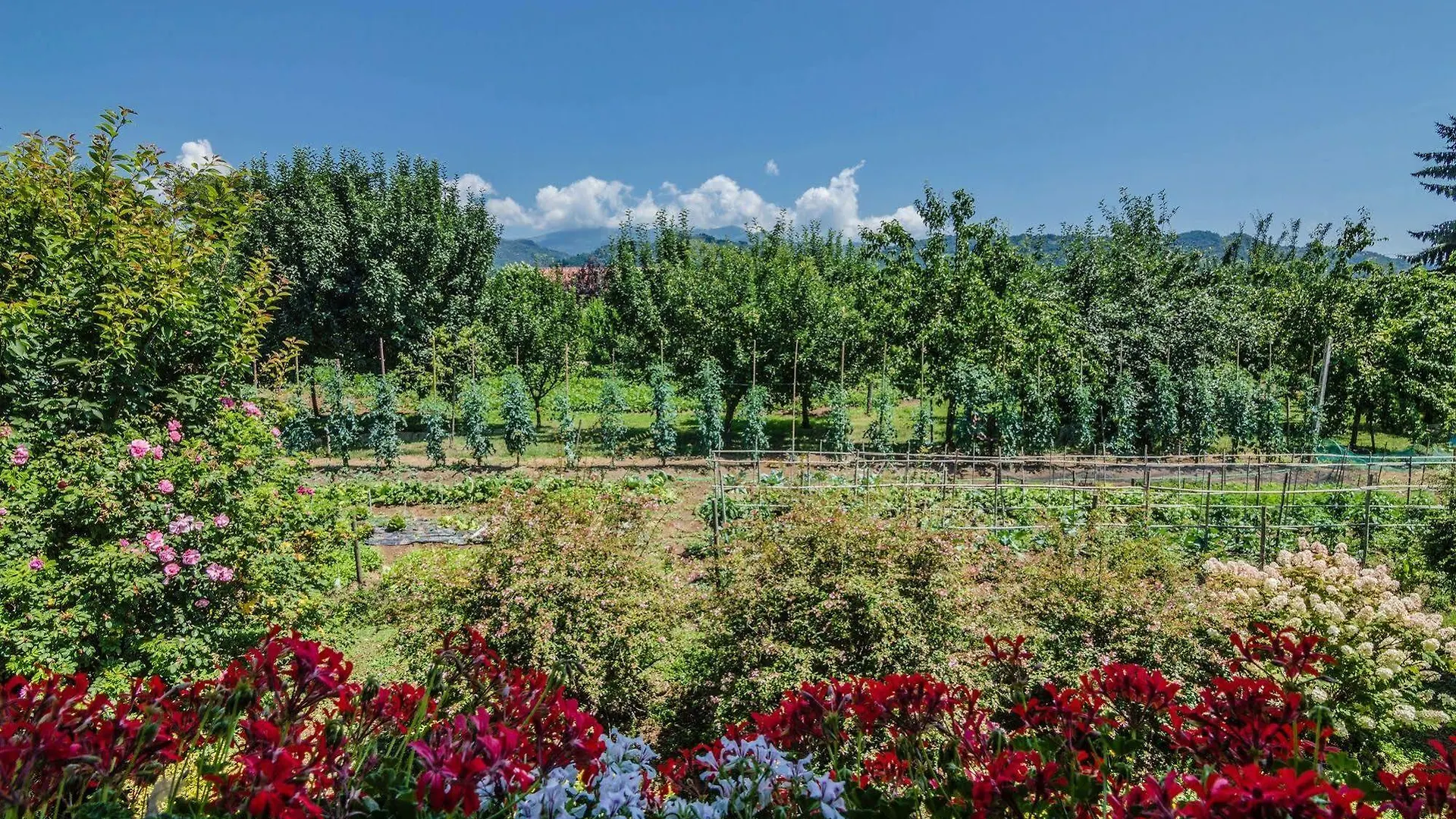 Alloggio per agriturismo Agriturismo Chioi Barga